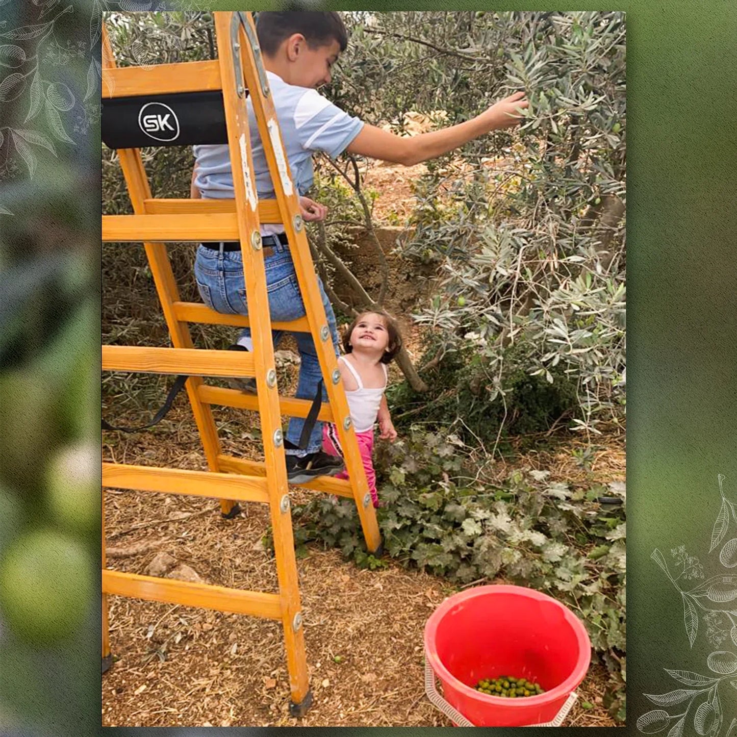 "OILVES2_c6c5b62c-fbad-4dc5-9006-5ff23a5c5062"