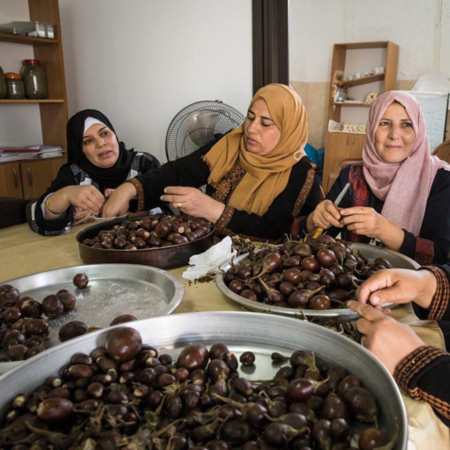 "Products from Palestine Nabali Fairkost\t"