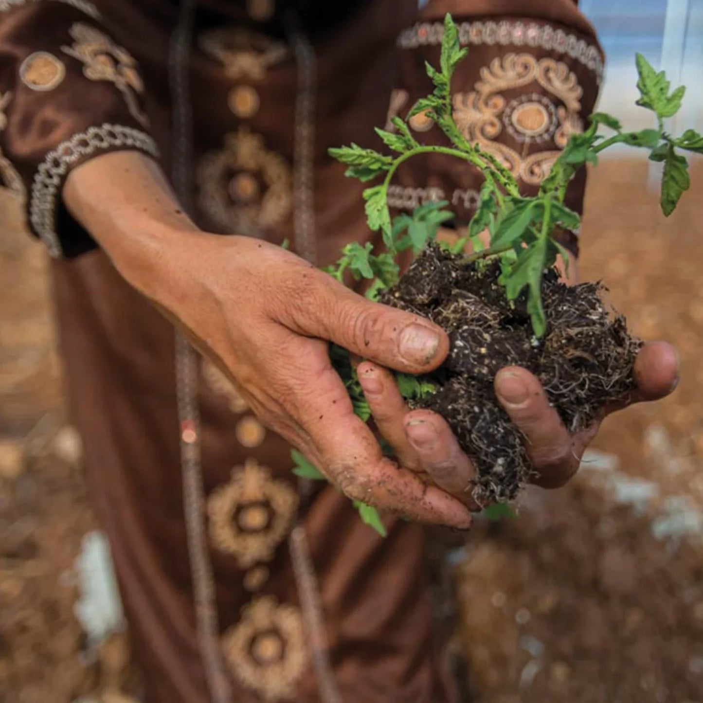 "Produkte aus Palästina Nabali Fairkost\t"