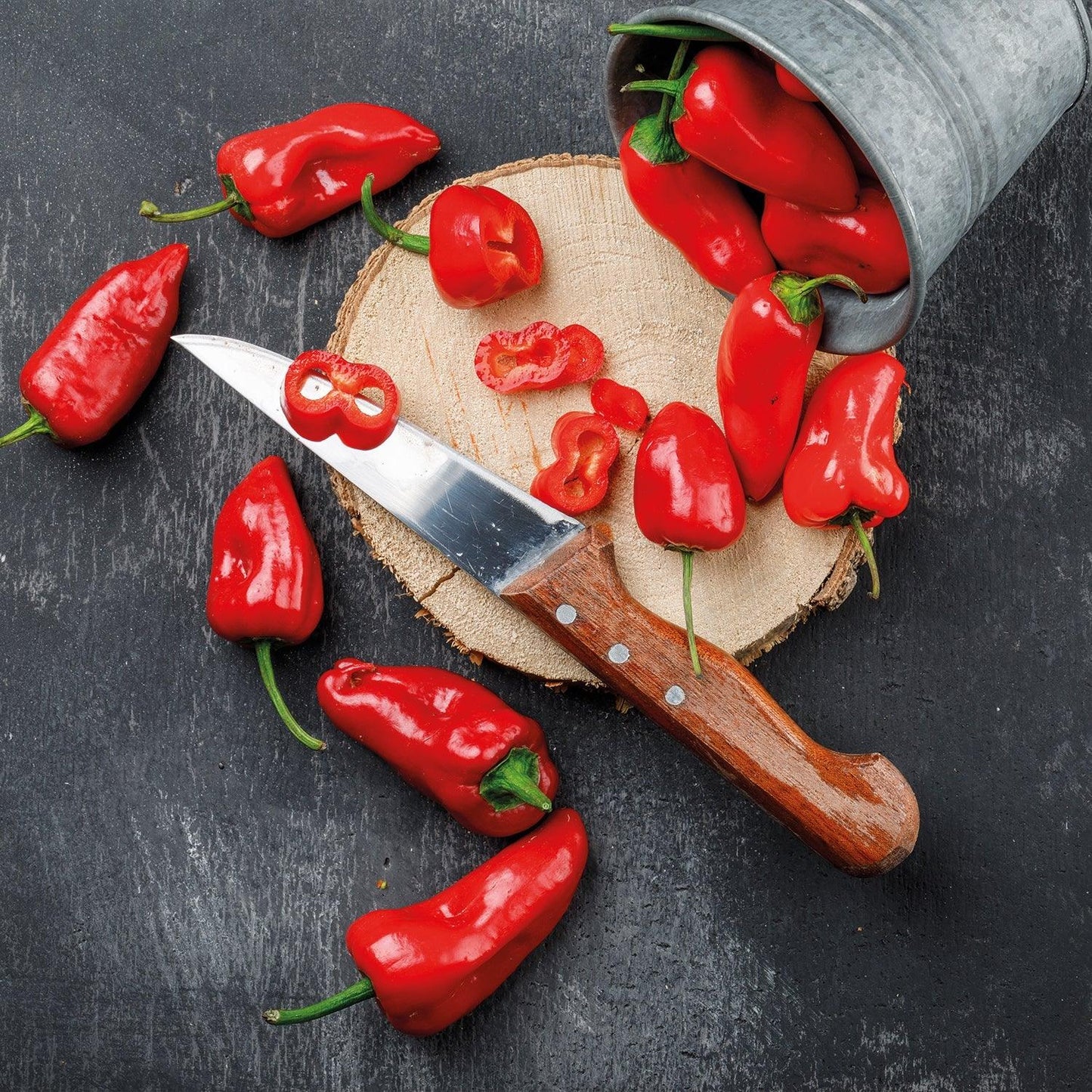 "Chilli aus Palästina \t\t\n"