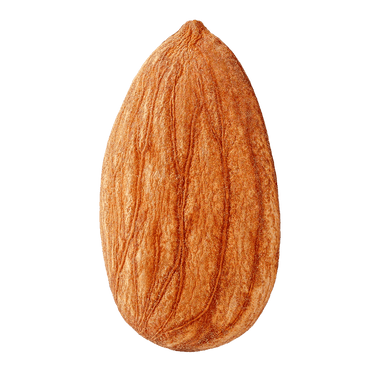 Mandeln Sonnengetrocknet Palästina -Rift Valley Farms 300G Dose