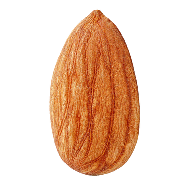 Mandeln Sonnengetrocknet Palästina -Rift Valley Farms 200G Dose