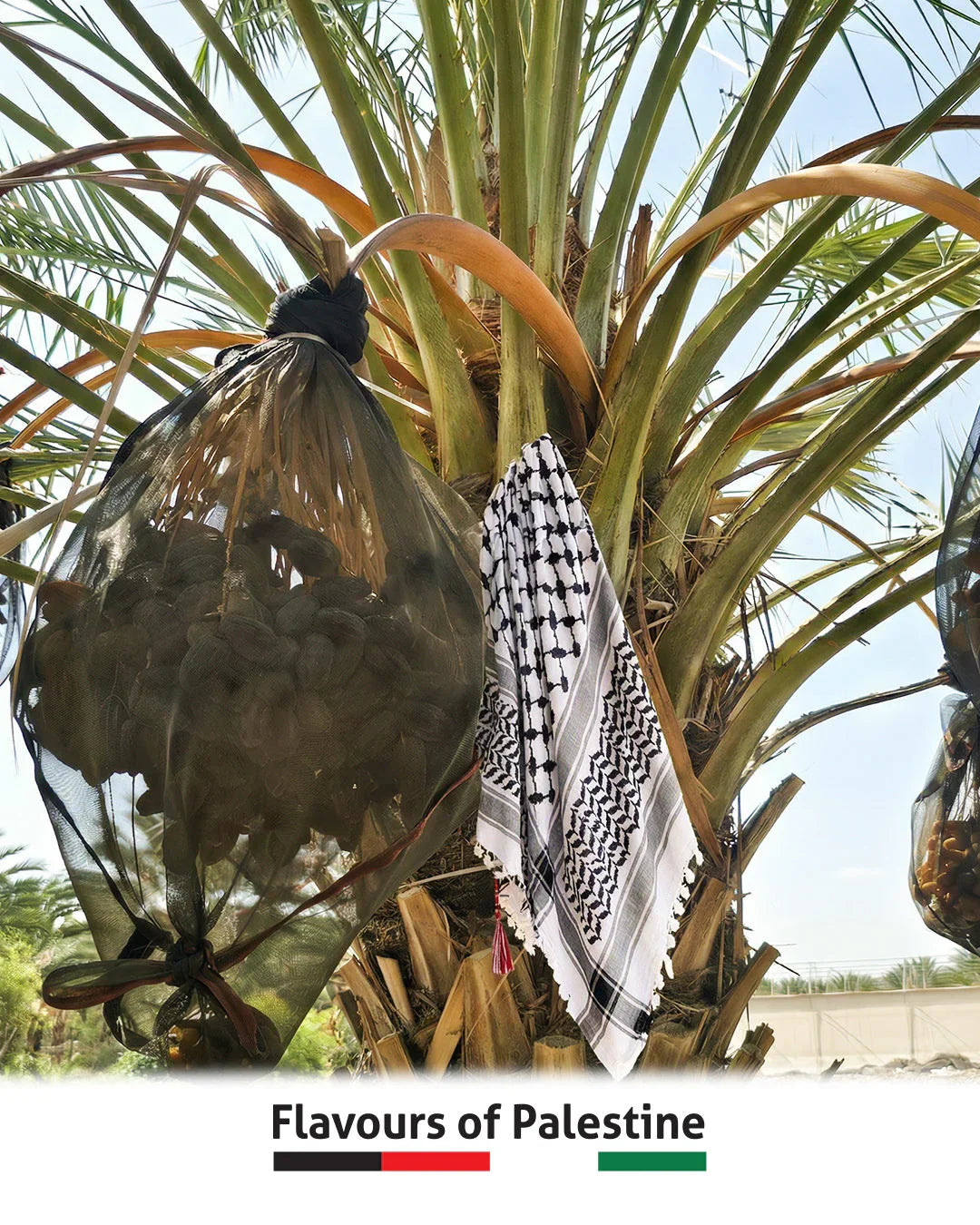 Produkte aus Palästina
