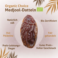 Bio Medjool Datteln 5KG aus Palästina - Choice Rift Valley Farms - Ernte 25/26