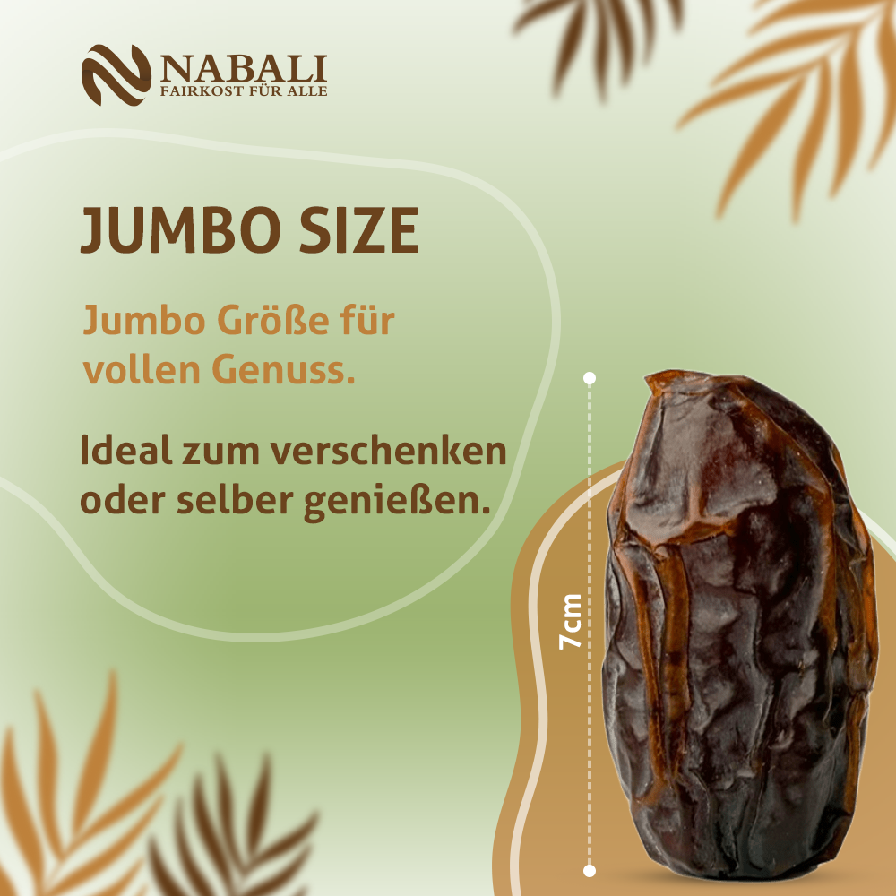 Bio Medjool Premium Datteln aus Palästina 5KG - Jumbo/Large  Rift Valley Farms Ernte 2026