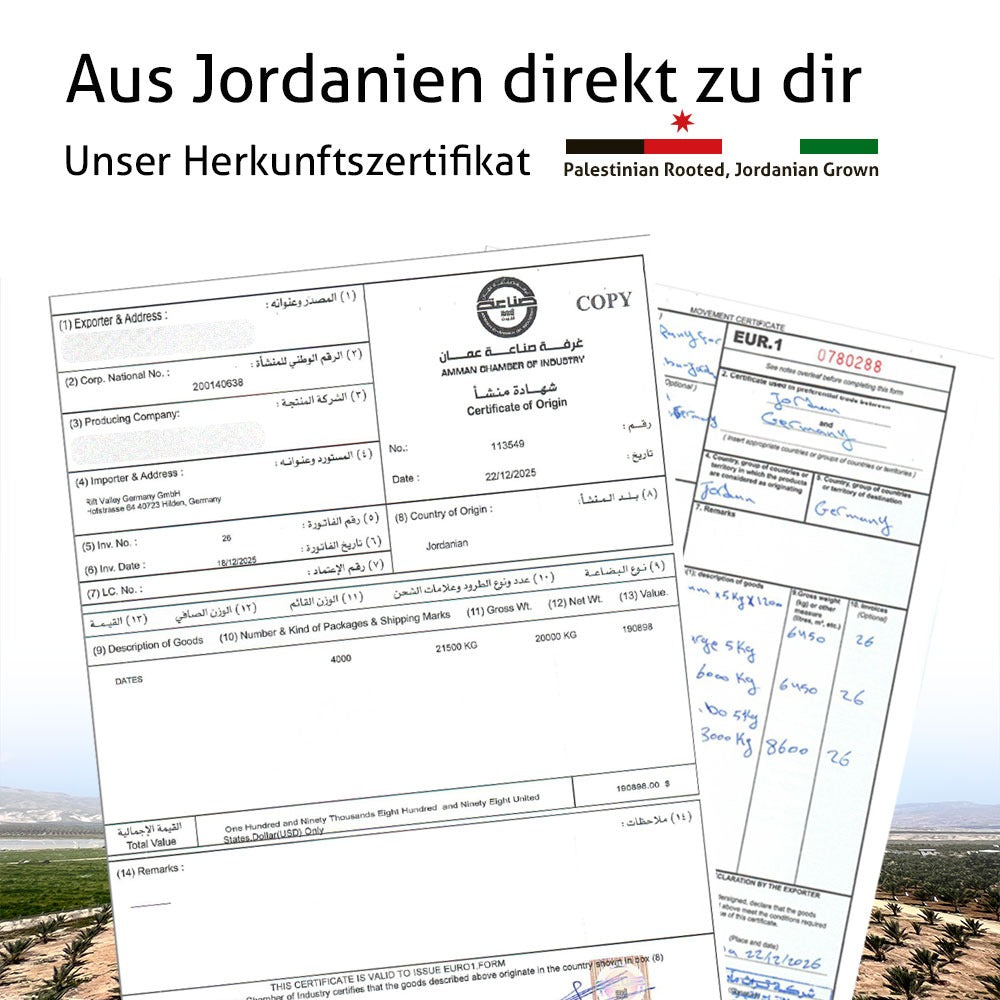 Bio Medjool Premium Datteln aus Jordanien 5KG -  Rift Valley Farms - Ernte 25/26