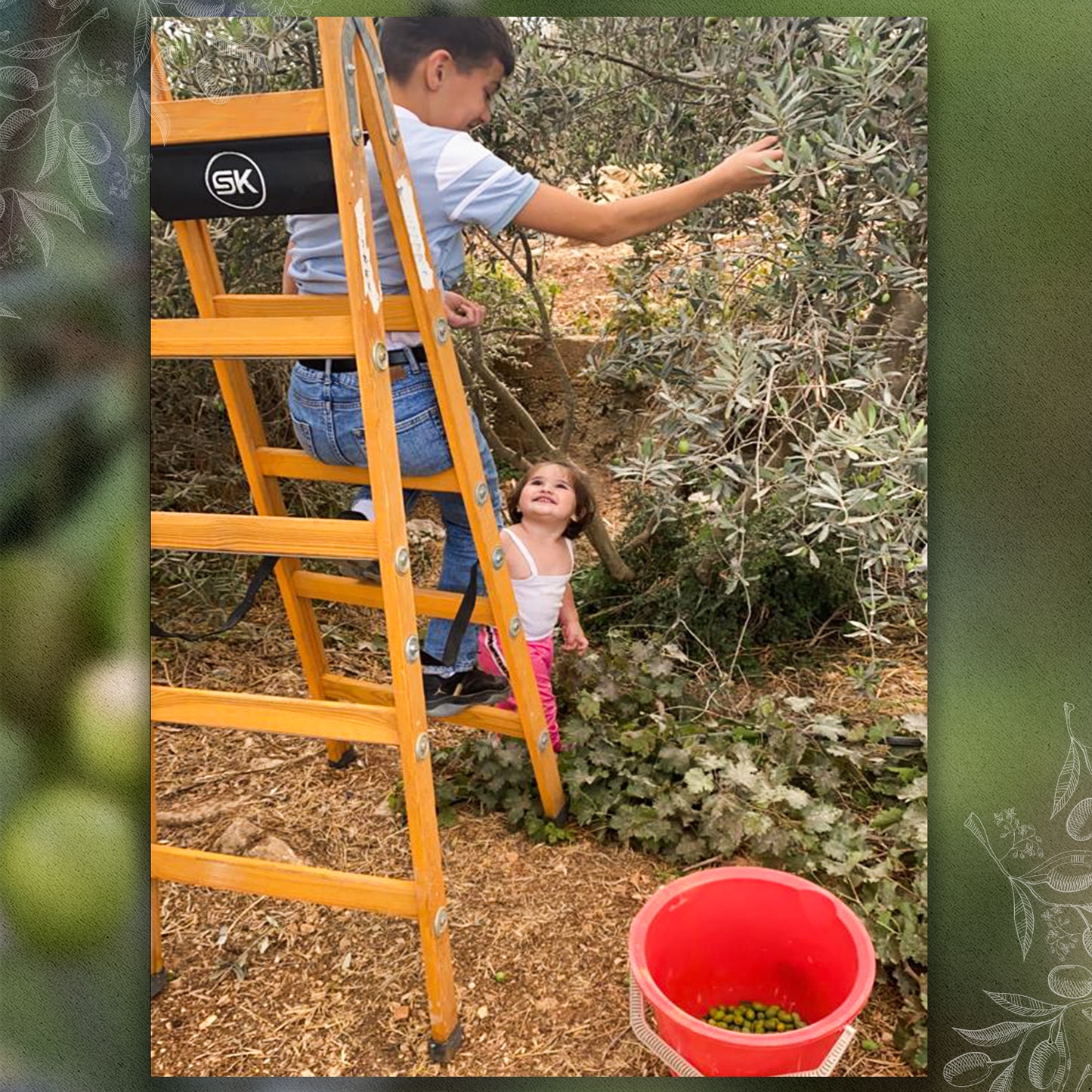 "Palästia Rudi Öl\t"