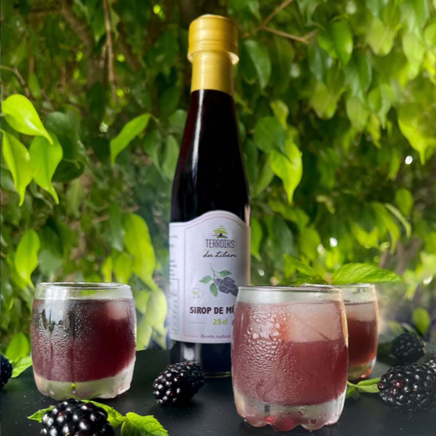 Brombeersirup - 250ml - aus Libanon Nabali Fairkost