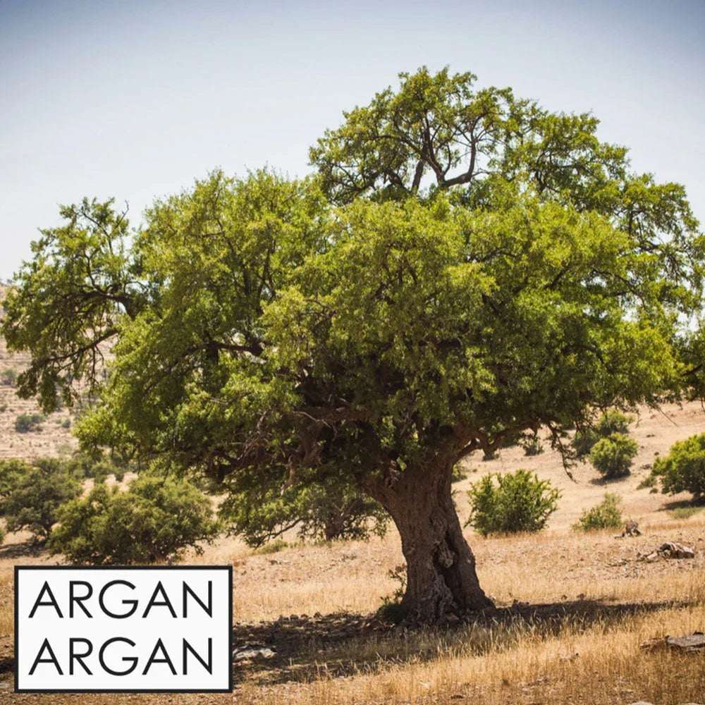 "Entdecken Sie unser hochwertiges Bio-Arganöl, das aus den Nüssen des Arganbaums in Marokko gewonnen wird. Reich an essentiellen Fettsäuren und Antioxidantien, ist dieses natürliche Öl ideal für die Haut- und Haarpflege. Es spendet Feuchtigkeit, fördert die Elastizität der Haut und verleiht dem Haar einen strahlenden Glanz. Nutzen Sie Bio-Arganöl auch in der Küche für ein gesundes Geschmackserlebnis."