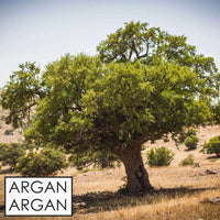 "Entdecken Sie unser hochwertiges Bio-Arganöl, das aus den Nüssen des Arganbaums in Marokko gewonnen wird. Reich an essentiellen Fettsäuren und Antioxidantien, ist dieses natürliche Öl ideal für die Haut- und Haarpflege. Es spendet Feuchtigkeit, fördert die Elastizität der Haut und verleiht dem Haar einen strahlenden Glanz. Nutzen Sie Bio-Arganöl auch in der Küche für ein gesundes Geschmackserlebnis."