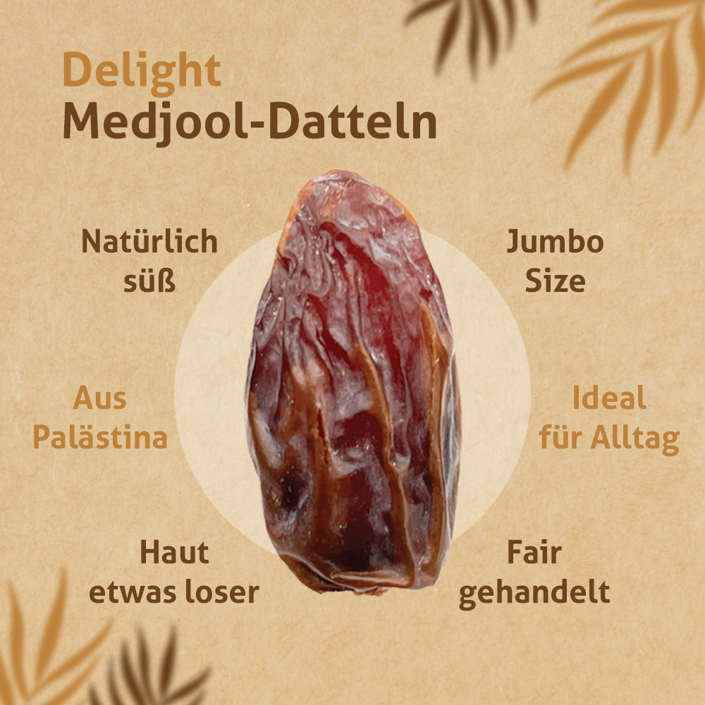 Rift Valley Medjool Datteln Delight aus Palästina 1KG