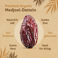 Bio Medjool Premium Datteln aus Palästina 5KG - Jumbo/Large  Rift Valley Farms Ernte 2026