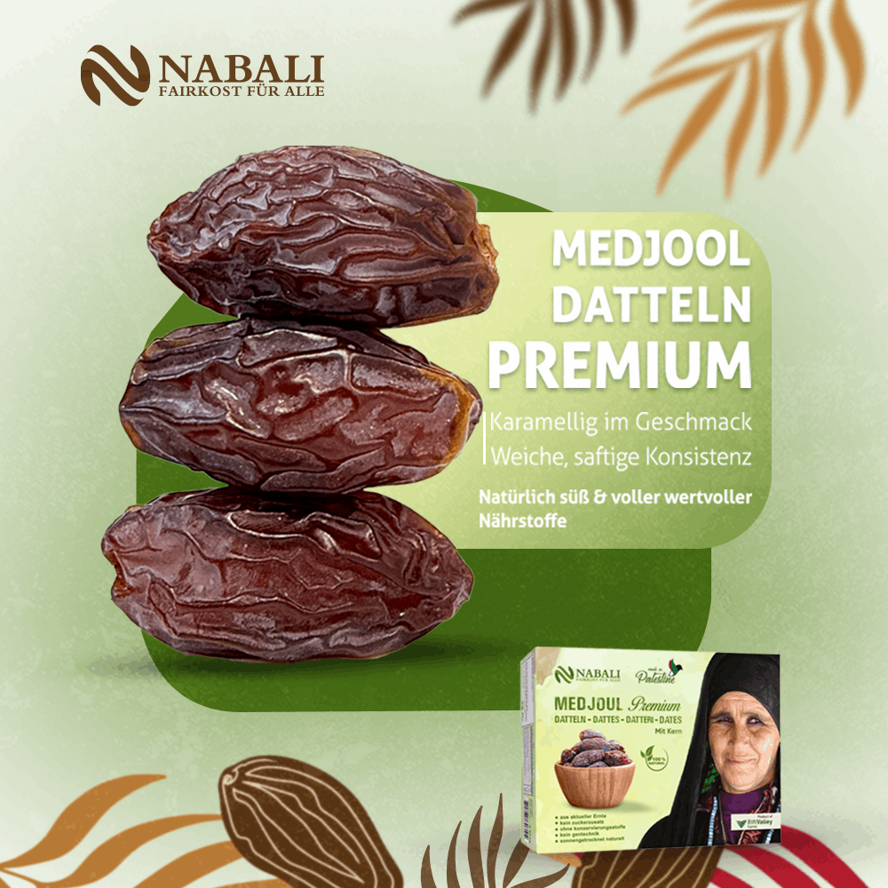 Palästina Jumbo Medjoul