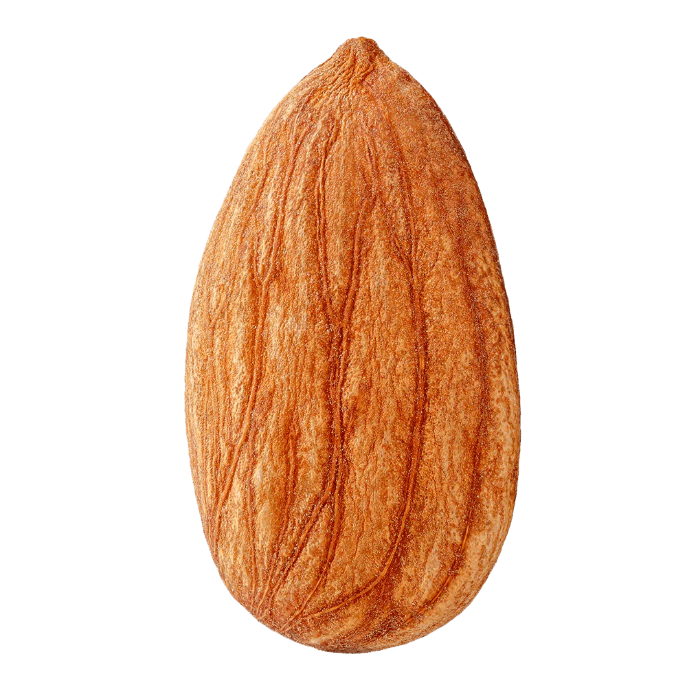 Mandeln Sonnengetrocknet Palästina -Rift Valley Farms 300G Dose