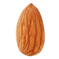 Mandeln Sonnengetrocknet Palästina -Rift Valley Farms 300G Dose