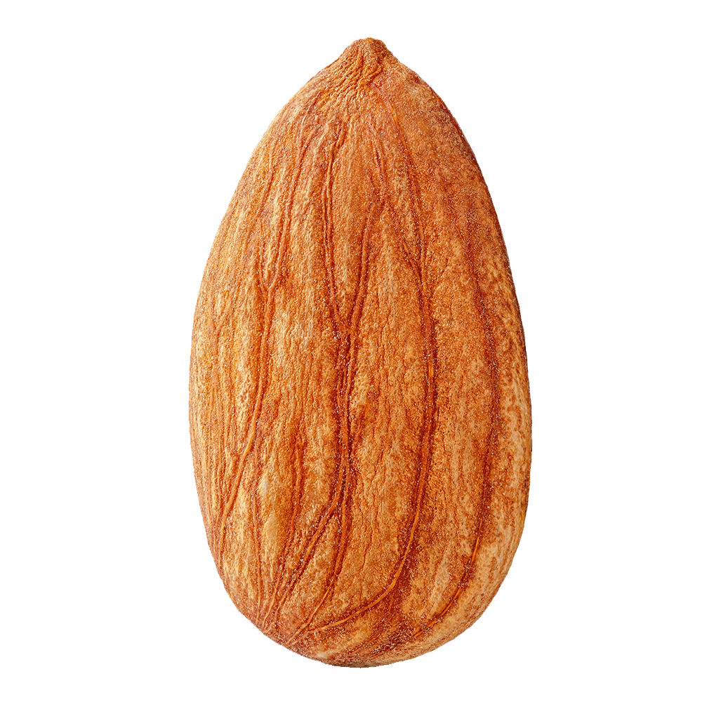 Mandeln Sonnengetrocknet Palästina -Rift Valley Farms 200G Dose