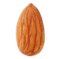 Mandeln Sonnengetrocknet Palästina -Rift Valley Farms 200G Dose