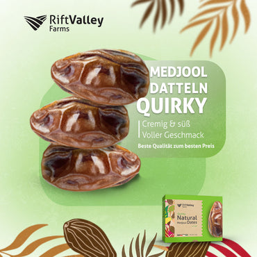 Rift Valley Medjool Datteln Quirky aus Palästina